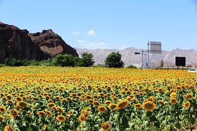 《使命召唤20》将有史上最大的僵尸模式和新战役任务